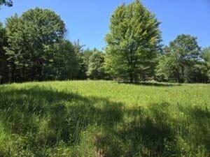 3371 Noble Rd, Oxford, MI 48370 - photo 62