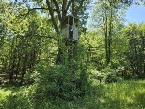 3371 Noble Rd, Oxford, MI 48370 - photo 66