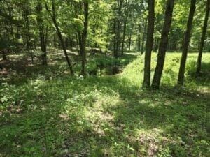 3371 Noble Rd, Oxford, MI 48370 - photo 63