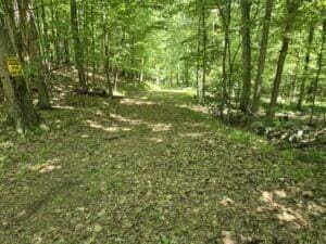 3371 Noble Rd, Oxford, MI 48370 - photo 67