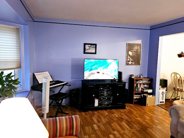 living room featuring dark hardwood / wood-style flooring