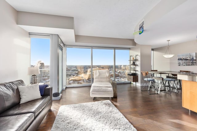 335 Bridge St NW Unit 2602, Grand Rapids, MI 49504 - living area featuring dark wood finished floors