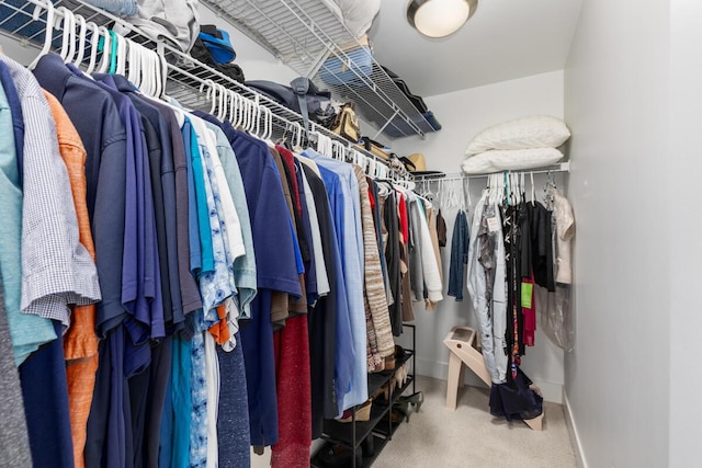 335 Bridge St NW Unit 2602, Grand Rapids, MI 49504 - walk in closet with carpet flooring
