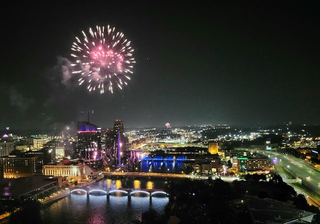 335 Bridge St NW Unit 2602, Grand Rapids, MI 49504 - city view with a view of city lights