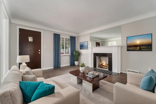 living room with wood-type flooring