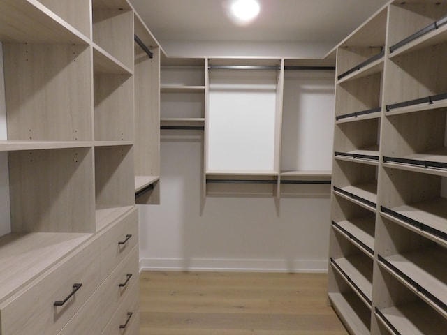 spacious closet featuring light hardwood / wood-style flooring