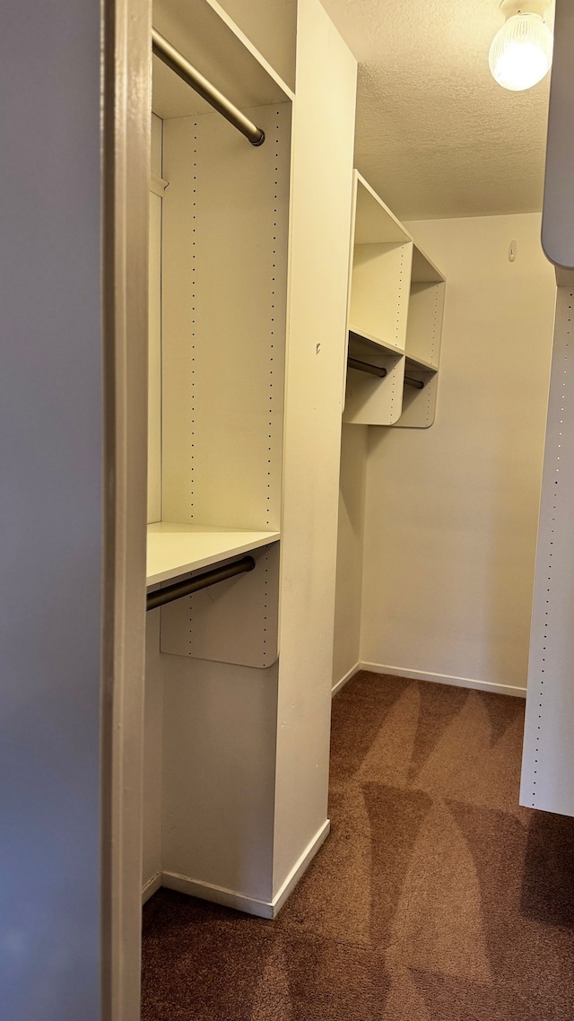 spacious closet with dark colored carpet