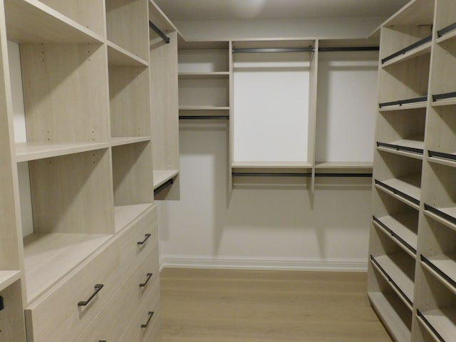 walk in closet with light wood-style flooring