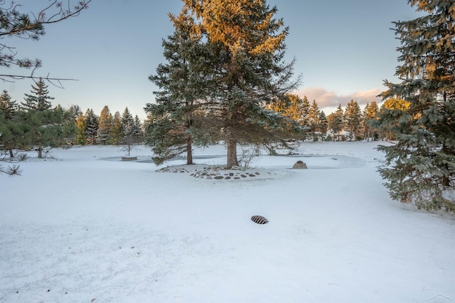 view of yard covered in snow