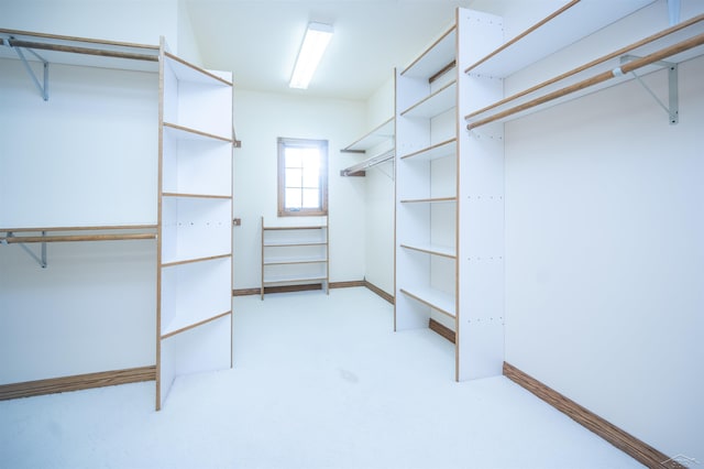 walk in closet featuring light carpet