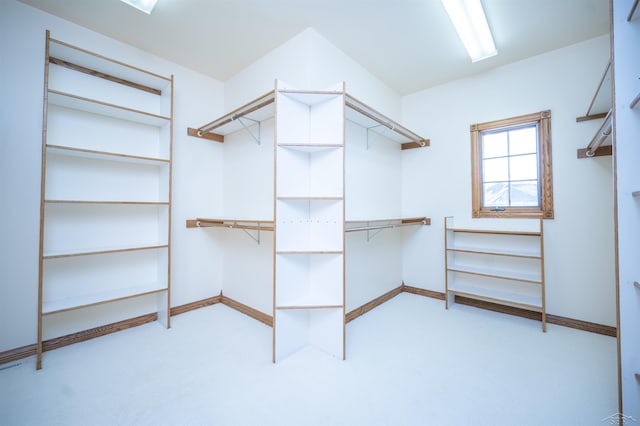 spacious closet with light colored carpet