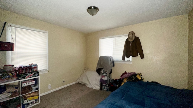 bedroom featuring carpet