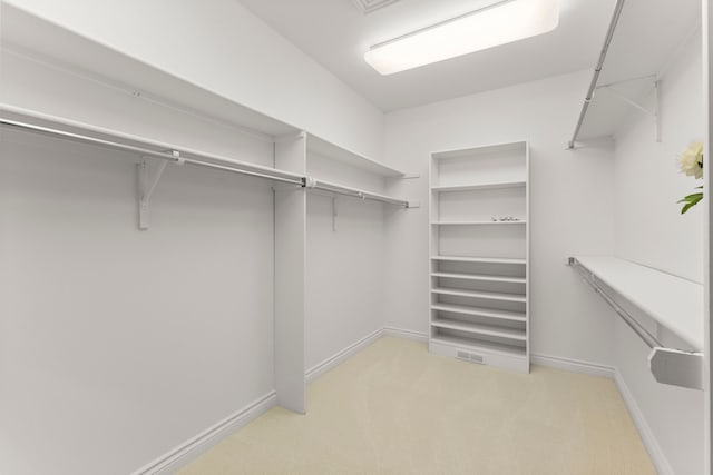 spacious closet featuring light colored carpet