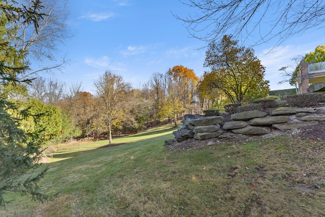 view of yard