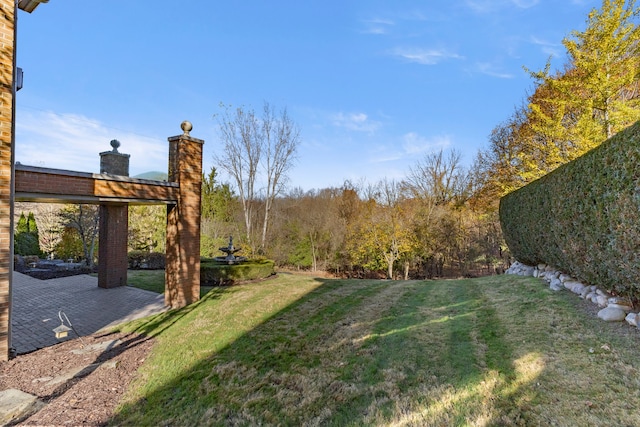 view of yard featuring a patio area