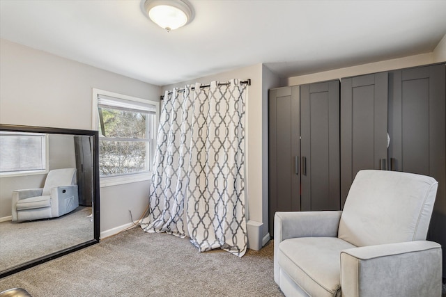 living area featuring carpet flooring