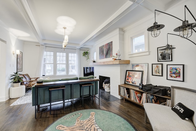 miscellaneous room featuring plenty of natural light, dark hardwood / wood-style flooring, and a fireplace