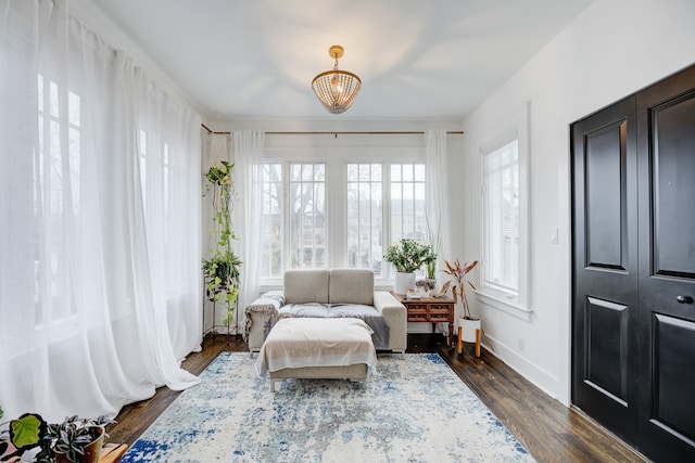 sitting room featuring dark wood-type flooring and a chandelier