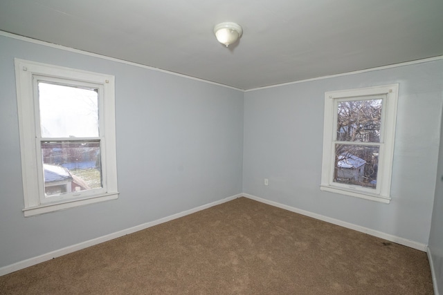 additional living space featuring carpet flooring