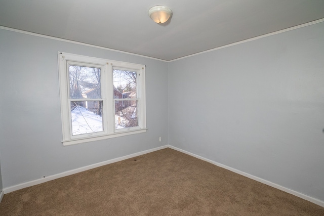 spare room featuring carpet flooring and ornamental molding