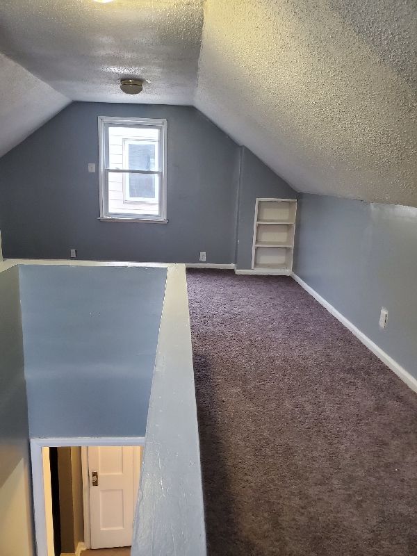 bonus room featuring carpet flooring, lofted ceiling, and a textured ceiling