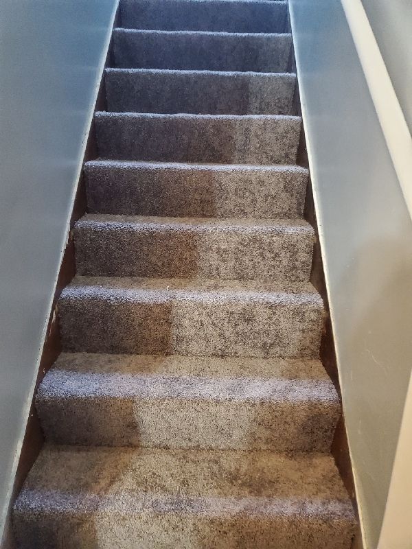19958 Harned St, Detroit, MI 48234 - view of stairway