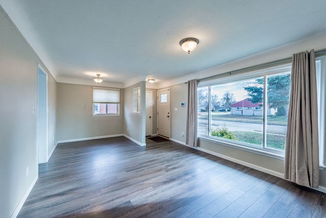 foyer entrance featuring dark hardwood / wood-style flooring