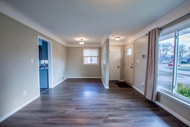 entrance foyer featuring dark wood-type flooring and a healthy amount of sunlight