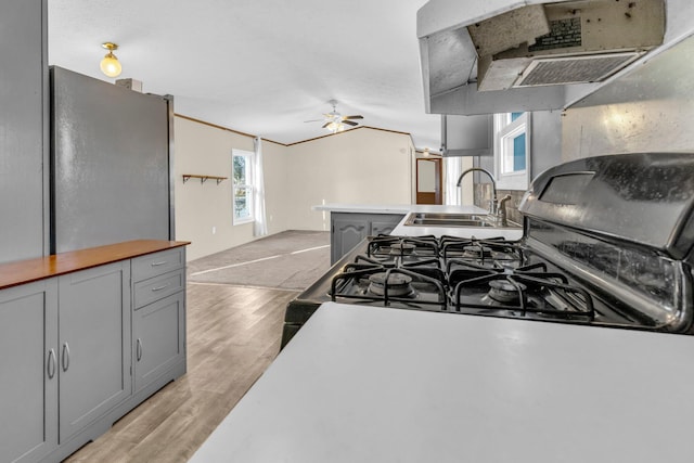 kitchen featuring sink, ceiling fan, gray cabinets, light wood-type flooring, and extractor fan