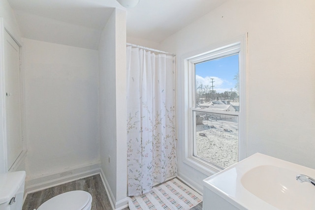 bathroom featuring vanity, hardwood / wood-style flooring, and toilet