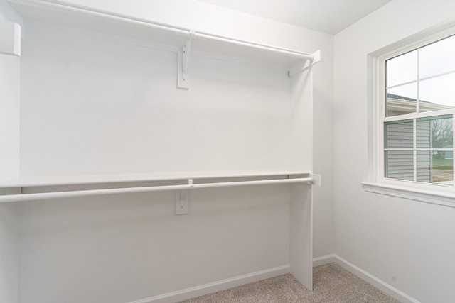 walk in closet featuring light colored carpet