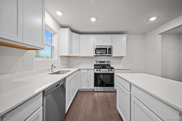 14213 Old Oak Trl, Van Buren, MI 48111 - kitchen with stainless steel appliances, a sink, dark wood-style flooring, white cabinetry, and light countertops