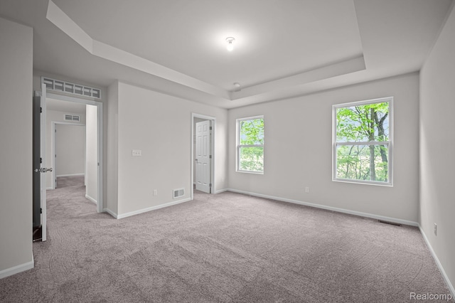 14213 Old Oak Trl, Van Buren, MI 48111 - unfurnished bedroom with a tray ceiling, carpet, and baseboards