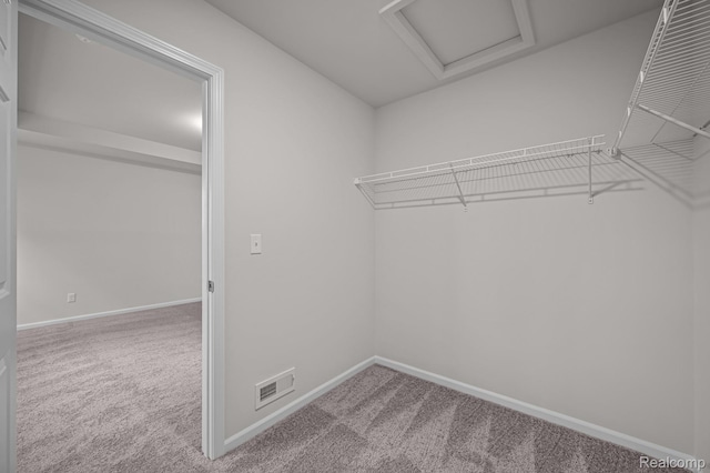 14213 Old Oak Trl, Van Buren, MI 48111 - spacious closet with carpet flooring and attic access