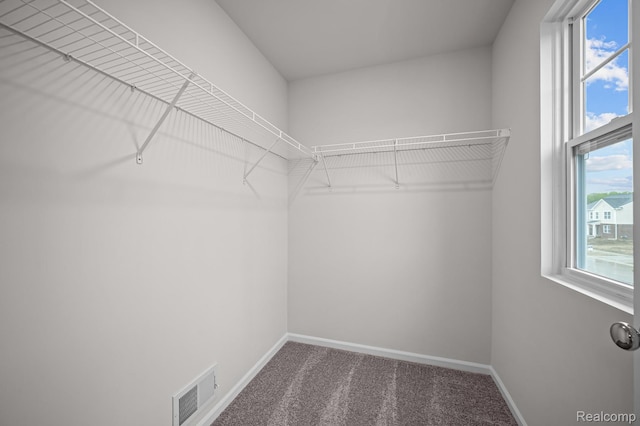 14213 Old Oak Trl, Van Buren, MI 48111 - spacious closet with carpet floors