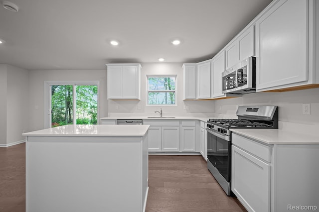 14213 Old Oak Trl, Van Buren, MI 48111 - kitchen with stainless steel appliances, a sink, a center island, recessed lighting, and white cabinetry