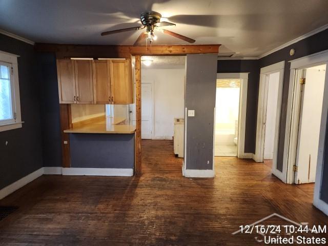 kitchen featuring dark hardwood / wood-style flooring, ceiling fan, and ornamental molding