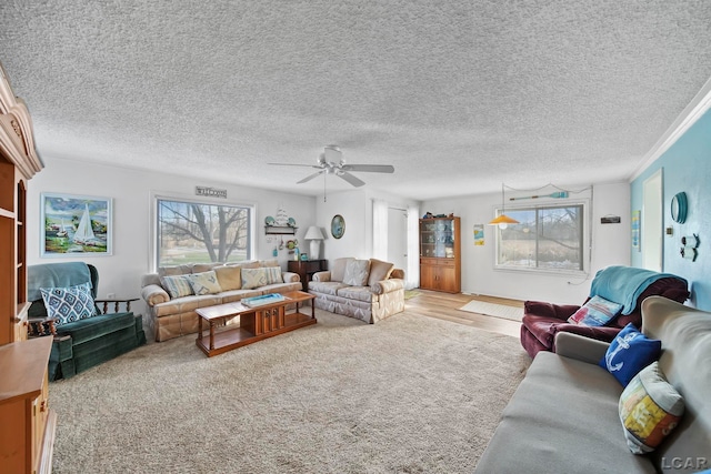 living room with carpet flooring, ceiling fan, and a textured ceiling