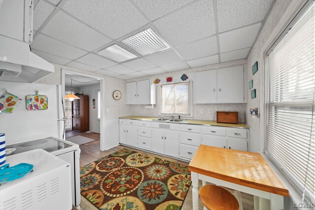 kitchen featuring white fridge, white cabinetry, dark wood-type flooring, and sink