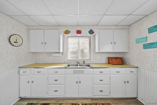 kitchen featuring sink, dark wood-type flooring, and a drop ceiling