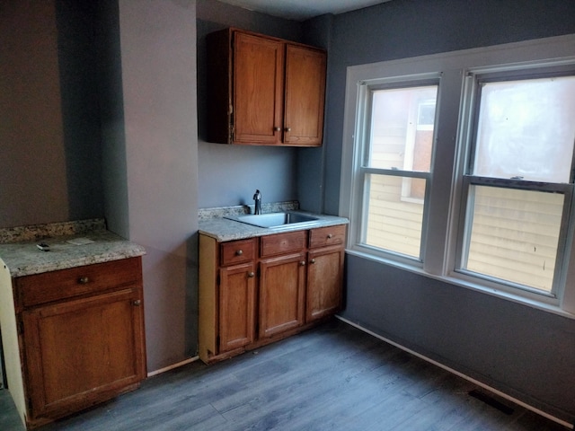 kitchen with hardwood / wood-style flooring and sink