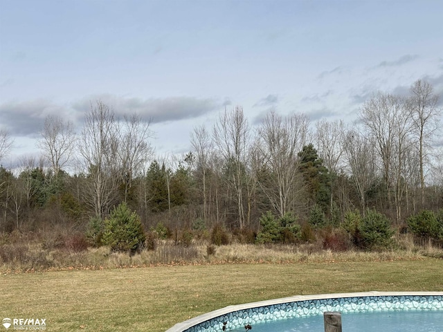 view of pool with a yard