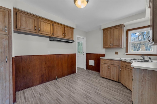 kitchen featuring wooden walls, sink, and light hardwood / wood-style flooring