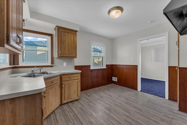 kitchen with light hardwood / wood-style floors, wood walls, and sink