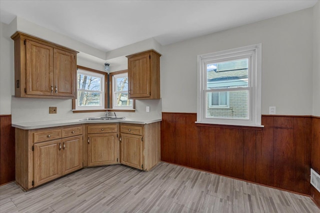 kitchen featuring light hardwood / wood-style floors, wood walls, and sink