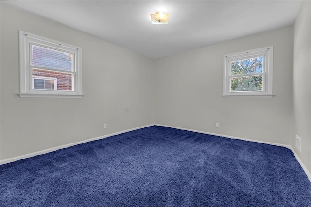 empty room with carpet flooring and a healthy amount of sunlight