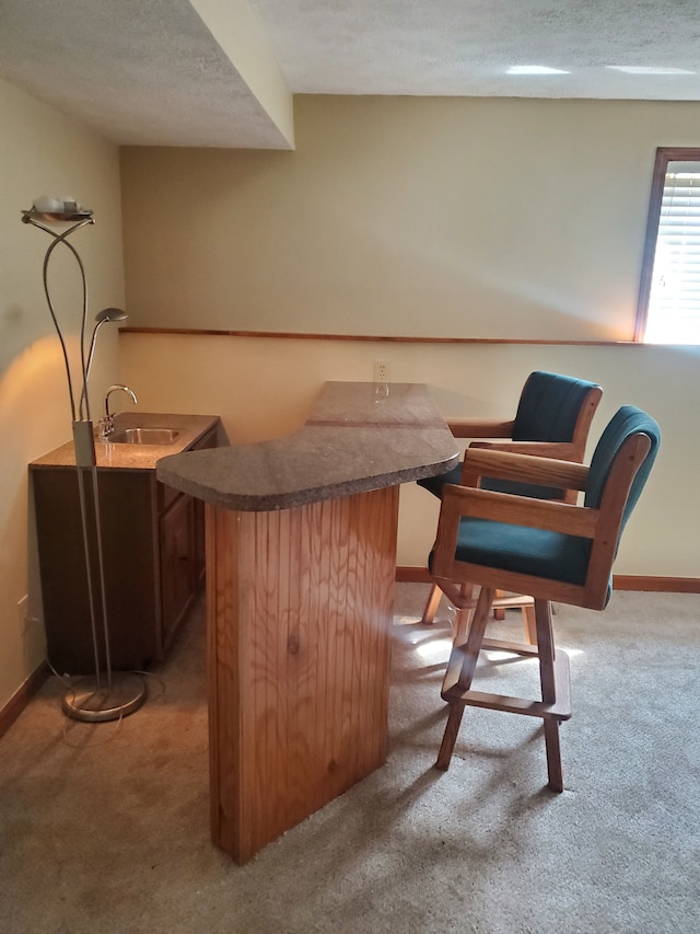 interior space with carpet flooring, sink, and a textured ceiling