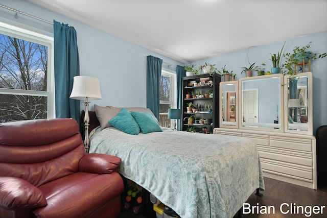 bedroom with dark hardwood / wood-style floors