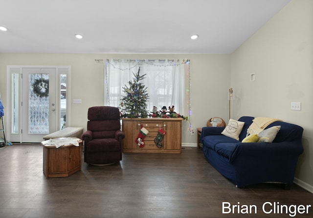 living room featuring dark hardwood / wood-style flooring