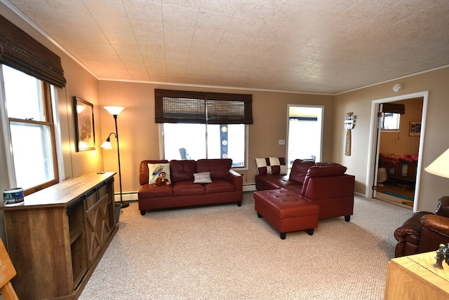 4141 Buena Vista Dr, Greenbush, MI 48738 - living room featuring ornamental molding, light colored carpet, a baseboard radiator, and plenty of natural light